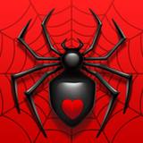 Spider Solitaire icon