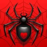 Spider Solitaire icon