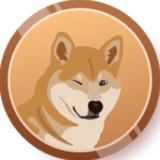 Coge Coin icon