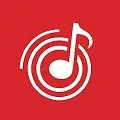 Wynk Musicicon