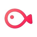 VLLO icon