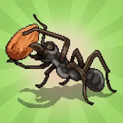 Pocket Ants icon