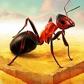 Little Ant Colony APK