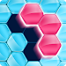 Block Hexa Puzzle™ icon