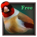 Birdquiz Free APK