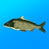 True Fishing APK