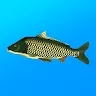 True Fishingicon