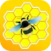 Honeygain Earning Cash Guide APK