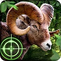 Wild Hunter 3D APK