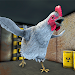 Evil Chicken: Scary Escape APK