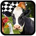 Farm Race APK