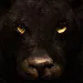 Ultimate Panther Simulator icon