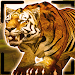 Tiger King Simulator icon