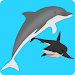 Dolphin Adventure icon