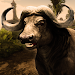 Ultimate Buffalo Simulator icon