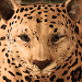 Ultimate Leopard Simulator APK