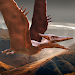 Pteranodon Simulator APK