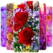 Flowers Wallpaper APK