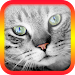 Cat Translator for Cats -prank APK