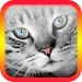 Cat Translator for Cats -prank APK