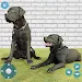 Dog Life Puppy Simulator Games icon