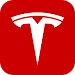 Tesla icon