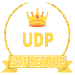 SAIF NET UDP APK