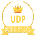 SAIF NET UDP APK