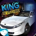 King Of Steeringicon