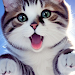 Cute Cat Wallpaper HD APK