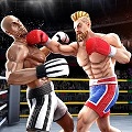 Tag Team Boxing Game APK