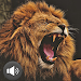 Lion Soundsicon