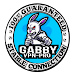 Gabby VPN Pro icon