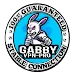 Gabby VPN Pro APK