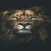 Lion phone wallpapers icon
