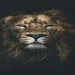 Lion phone wallpapers APK
