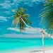 Summer phone wallpapers APK