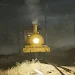 Horror Hidden Train Survival icon