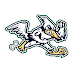 Roadrunner Baseball Academy APK