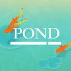 Pond - Save the little carpicon