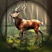 Wild Hunting Clash APK