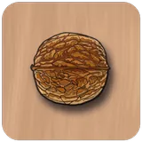 ChessNuts icon