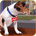 Animal Shelter - Pet Shelter icon