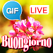 Italian Good Morning Gif Image APK