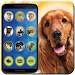 Translator for dogs joke APK