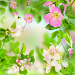 Gentle Flowers Live Wallpapericon