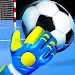 Futsal Goalkeeper - Soccericon