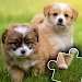 Dogs & Cats Puzzles for kids 2icon