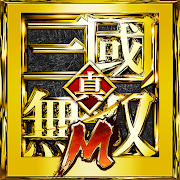 Dynasty Warriors Micon