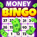 Lucky Bingo Money: Win Rewards icon